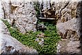 P6257363.JPG