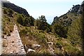 P6257375.JPG