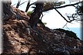 P6257399.JPG