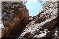 P6257420.JPG