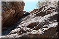 P6257421.JPG