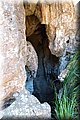 P6257433.JPG