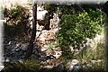 P6257437.JPG