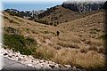 P6257439.JPG