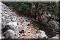 P6287453.JPG