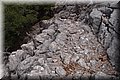 P6287468.JPG