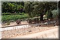 P6287481.JPG