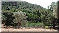 P6287483.JPG