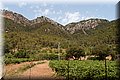 P6287484.JPG