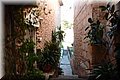 P7027546.JPG
