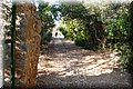 P7027551.JPG