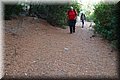 P7027557.JPG