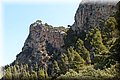 P7027580.JPG