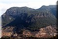 P7057609.JPG
