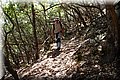 P7057627.JPG