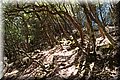 P7057632.JPG