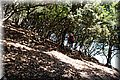 P7057637.JPG