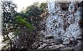 P7057640.JPG