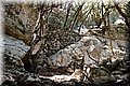 P7057659.JPG
