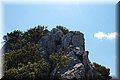 P7057664.JPG