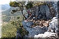 P7057667.JPG