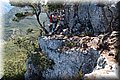 P7057668.JPG