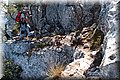 P7057670.JPG