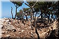 P7057673.JPG