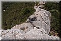 P7057679.JPG