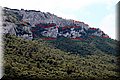 P7057685.JPG