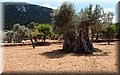 P7057688.JPG
