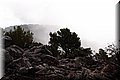 P7097692.JPG