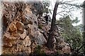 P7097720.JPG