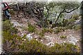 P7097750.JPG
