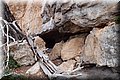 P7097773.JPG