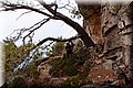 P7097775.JPG