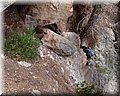 P7097805.JPG