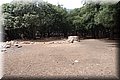 P7097817.JPG