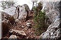 P7127835.JPG