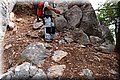 P7127838.JPG