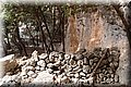 P7127844.JPG