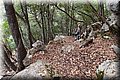 P7127852.JPG