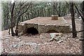 P7127853.JPG