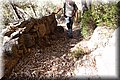 P7167922.JPG