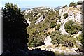 P7197981.JPG