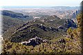 P7198000.JPG