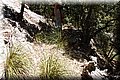 P7198001.JPG