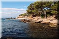 P7238010.JPG