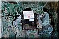 P7238021.JPG