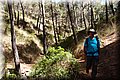 P7238033.JPG
